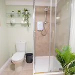 Large Group House -Temple Bar 2 Min *