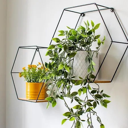 The Yellow Door By Shortstays Tatil Evi Dublin